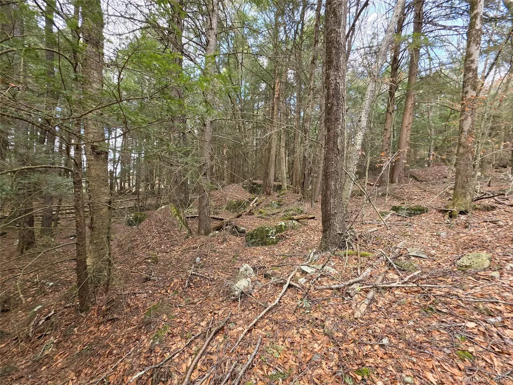 Tbd Bobwhite Trail Mongaup Valley NY 12762
