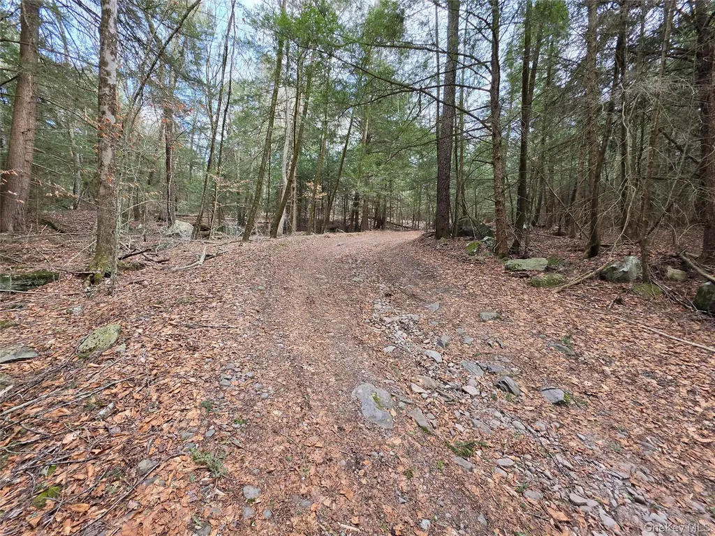 Tbd Bobwhite Trail Mongaup Valley NY 12762