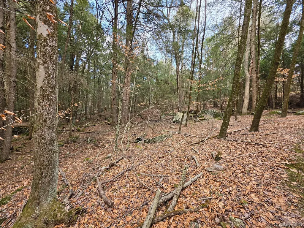 Tbd Bobwhite Trail Mongaup Valley NY 12762