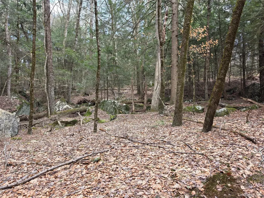 Tbd Bobwhite Trail Mongaup Valley NY 12762