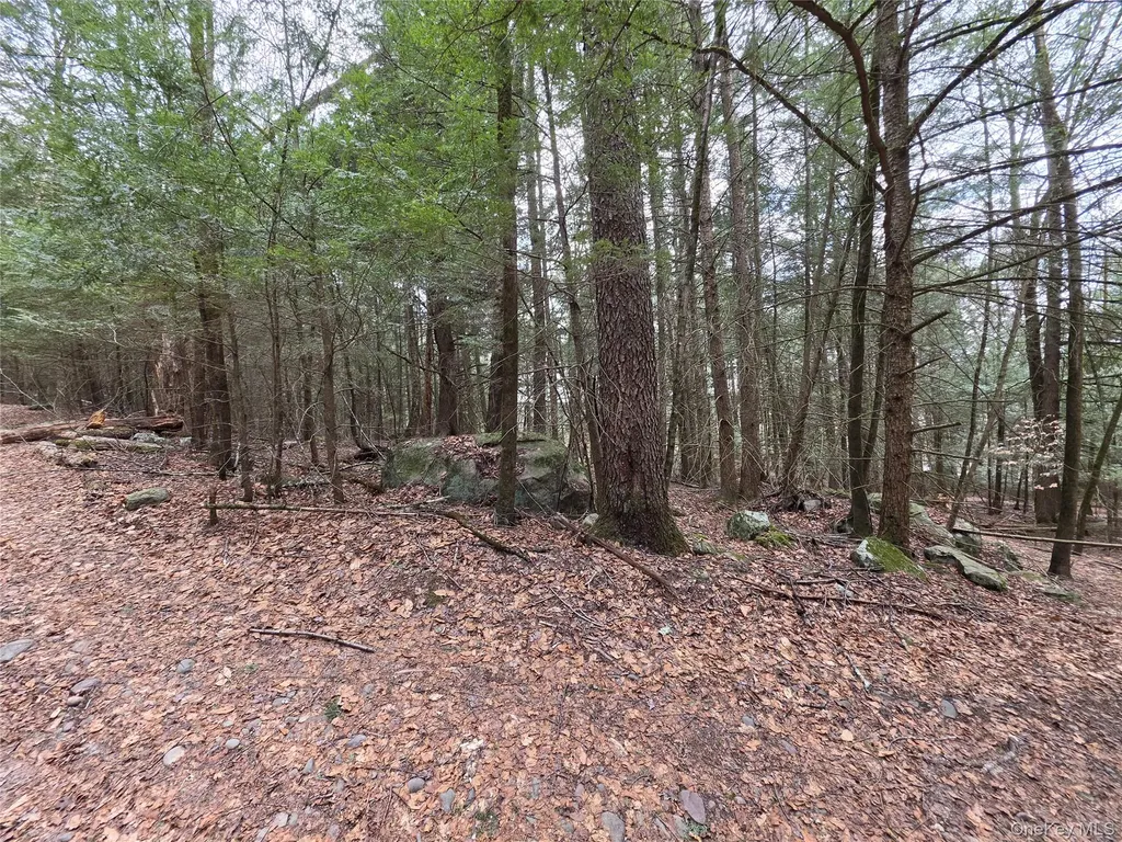 Tbd Bobwhite Trail Mongaup Valley NY 12762