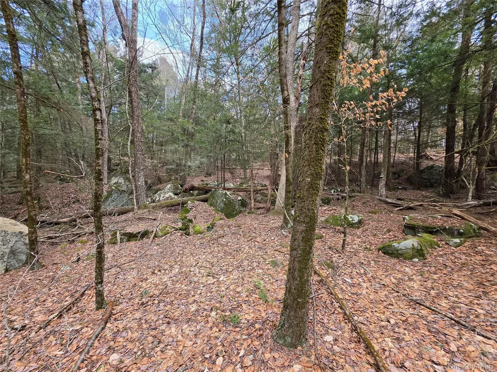 Tbd Bobwhite Trail Mongaup Valley NY 12762