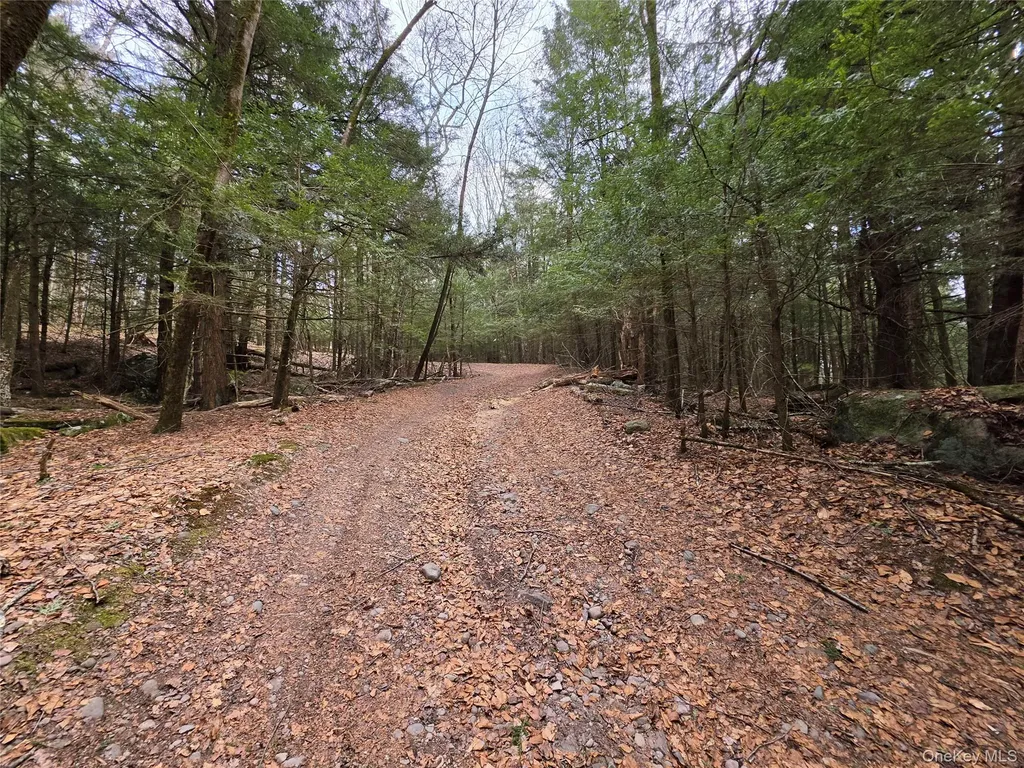 Tbd Bobwhite Trail Mongaup Valley NY 12762