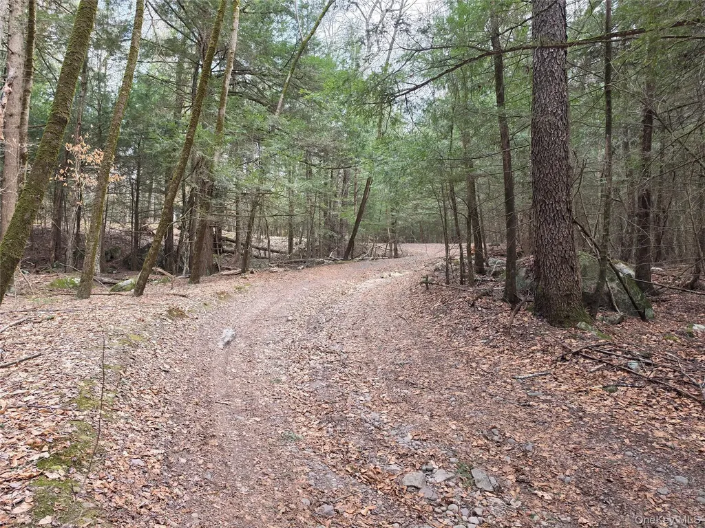 Tbd Bobwhite Trail Mongaup Valley NY 12762