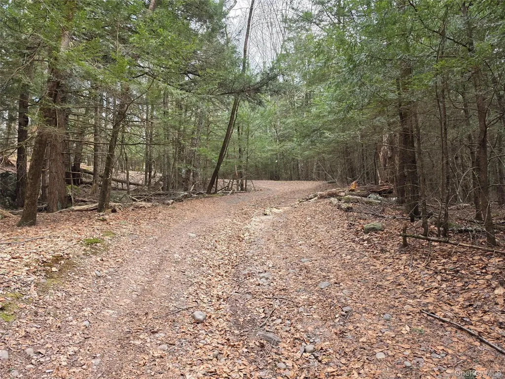 Tbd Bobwhite Trail Mongaup Valley NY 12762