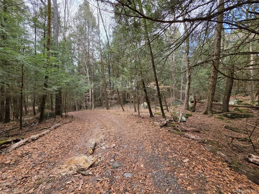 Tbd Bobwhite Trail Mongaup Valley NY 12762