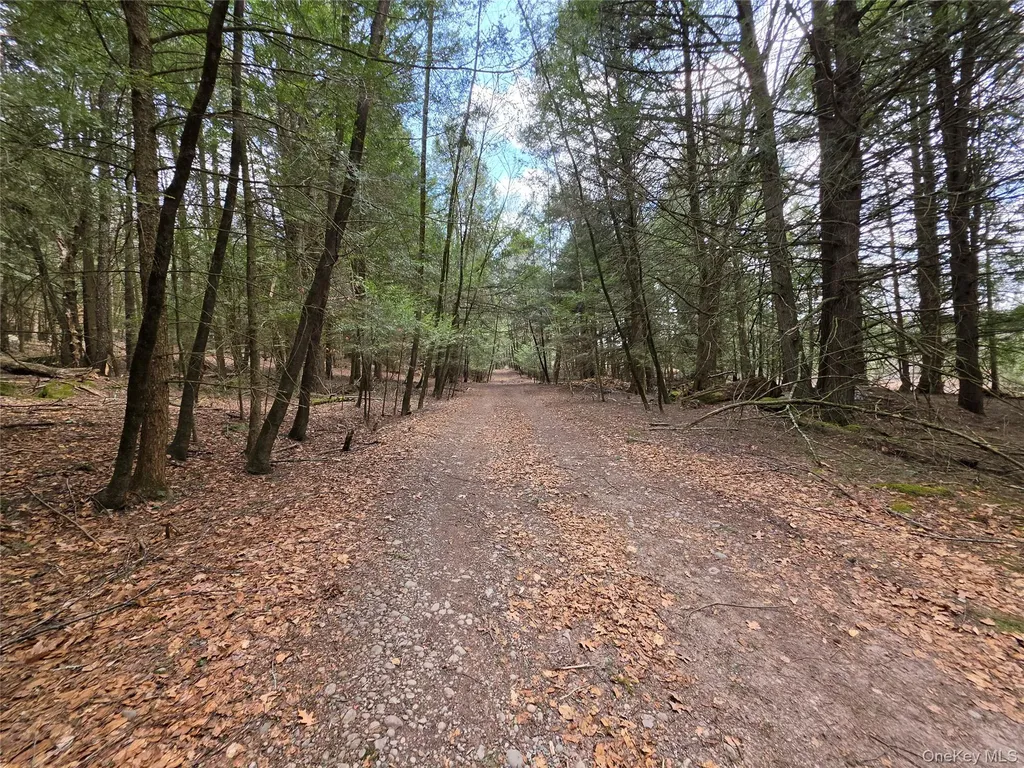 Tbd Bobwhite Trail Mongaup Valley NY 12762