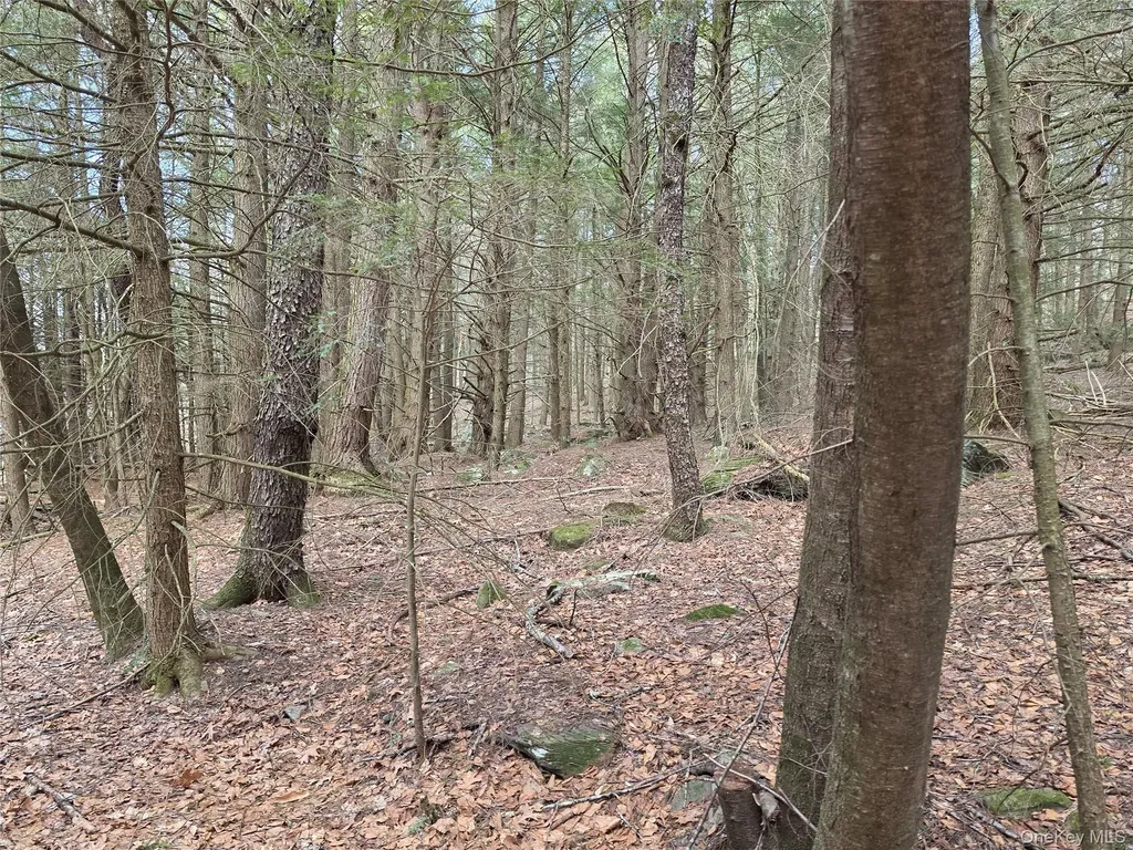 Tbd Bobwhite Trail Mongaup Valley NY 12762