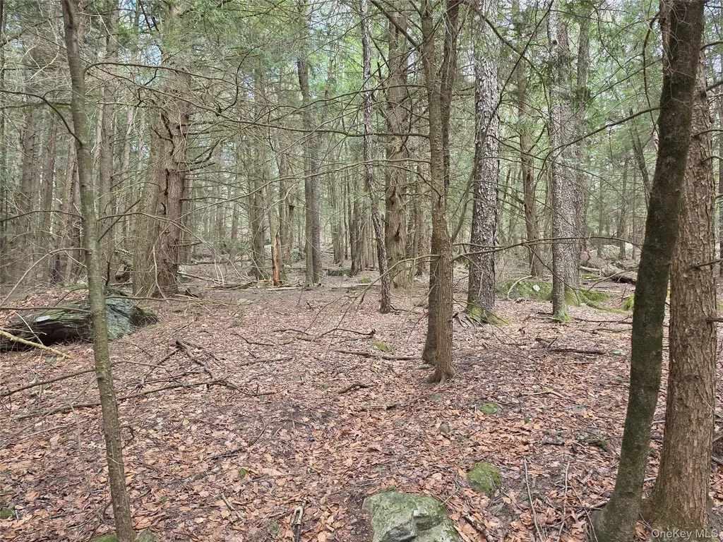 Tbd Bobwhite Trail Mongaup Valley NY 12762