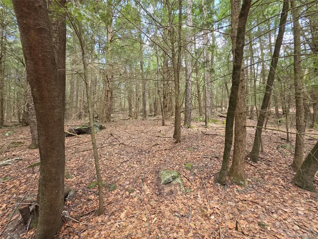 Tbd Bobwhite Trail Mongaup Valley NY 12762