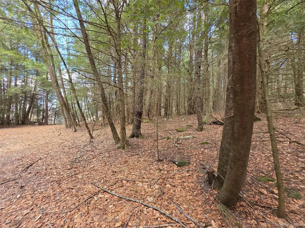 Tbd Bobwhite Trail Mongaup Valley NY 12762