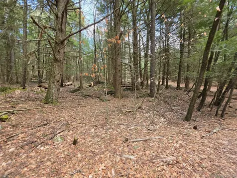 Tbd Bobwhite Trail Mongaup Valley NY 12762
