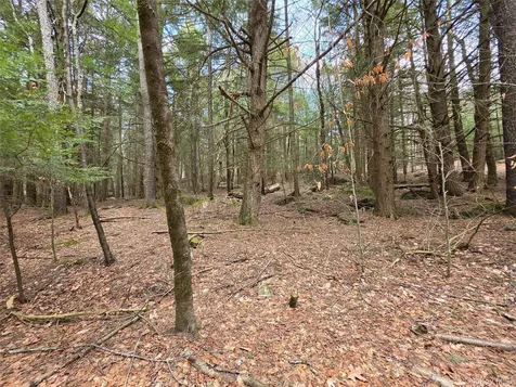 Tbd Bobwhite Trail Mongaup Valley NY 12762