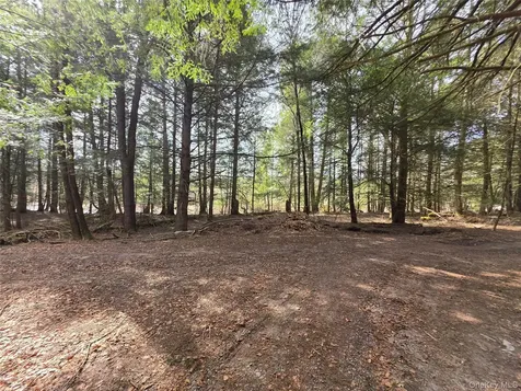 Tbd Bobwhite Trail Mongaup Valley NY 12762