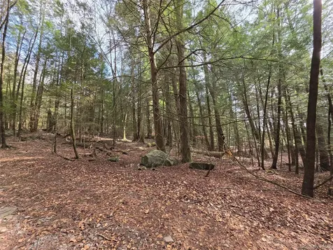 Tbd Bobwhite Trail Mongaup Valley NY 12762