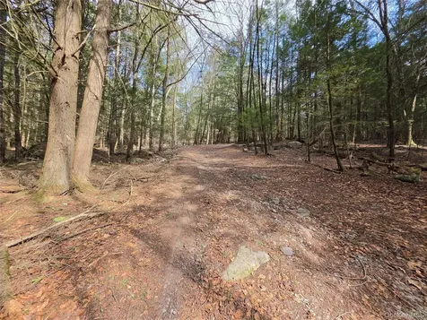 Tbd Bobwhite Trail Mongaup Valley NY 12762
