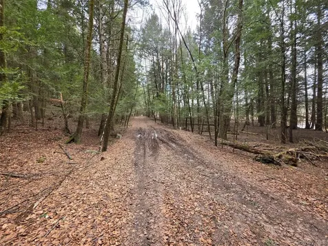 Tbd Bobwhite Trail Mongaup Valley NY 12762