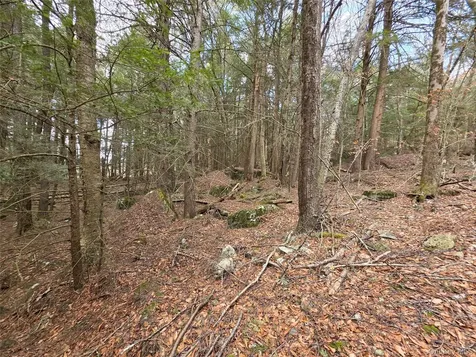 Tbd Bobwhite Trail Mongaup Valley NY 12762