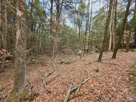 Tbd Bobwhite Trail Mongaup Valley NY 12762