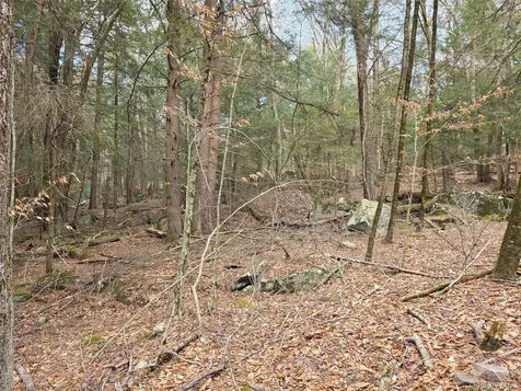 Tbd Bobwhite Trail Mongaup Valley NY 12762