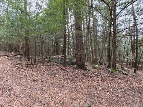 Tbd Bobwhite Trail Mongaup Valley NY 12762