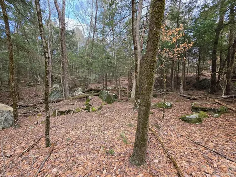 Tbd Bobwhite Trail Mongaup Valley NY 12762