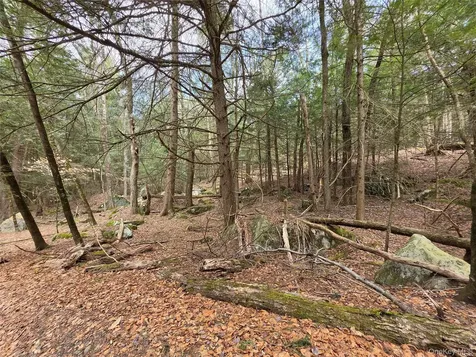 Tbd Bobwhite Trail Mongaup Valley NY 12762