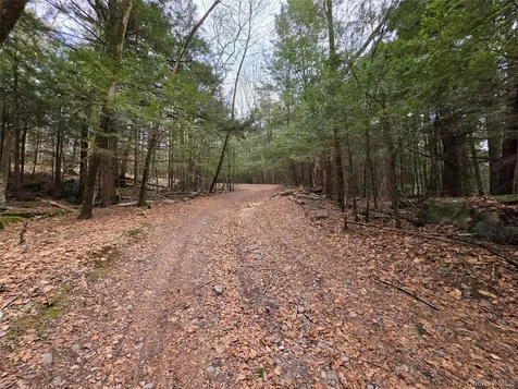 Tbd Bobwhite Trail Mongaup Valley NY 12762