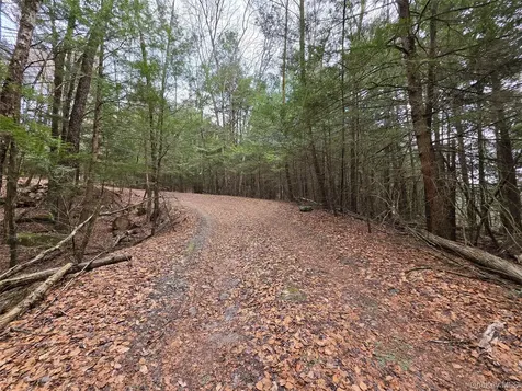 Tbd Bobwhite Trail Mongaup Valley NY 12762