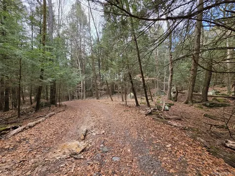 TBD Bobwhite Trail Mongaup Valley NY 12762