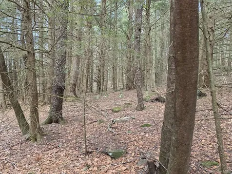 Tbd Bobwhite Trail Mongaup Valley NY 12762
