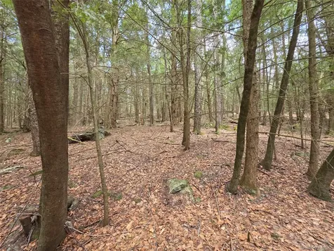 Tbd Bobwhite Trail Mongaup Valley NY 12762