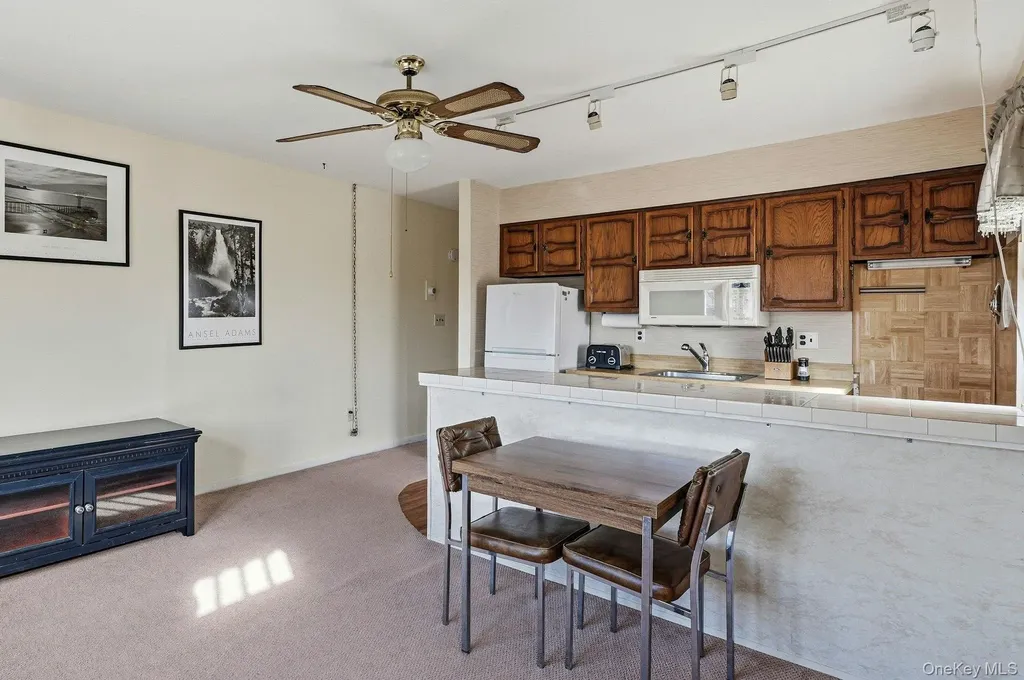 10 Leanore Drive Farmingdale NY 11735