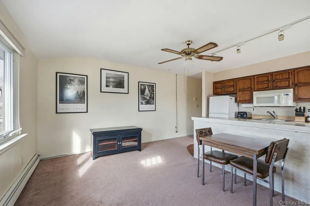 10 Leanore Drive Farmingdale NY 11735