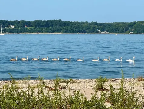 224 Centre Island Road Centre Island NY 11771