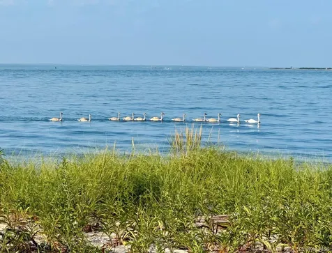 224 Centre Island Road Centre Island NY 11771