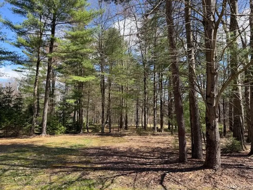 2769 State Route 55 Bethel NY 12720