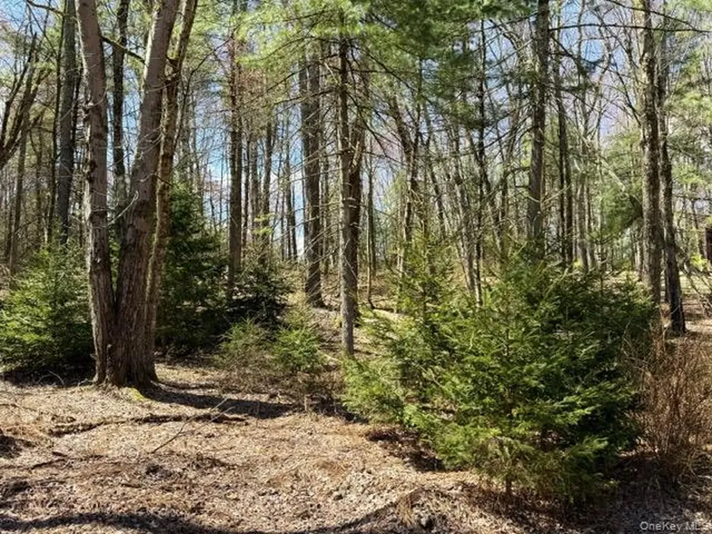 2769 State Route 55 Bethel NY 12720