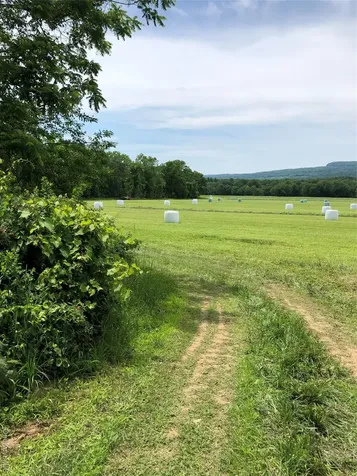 181 Huguenot Street New Paltz NY 12561