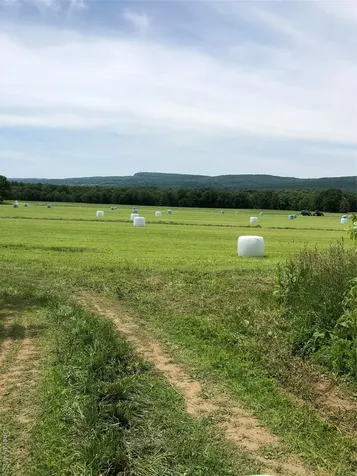 181 Huguenot Street New Paltz NY 12561