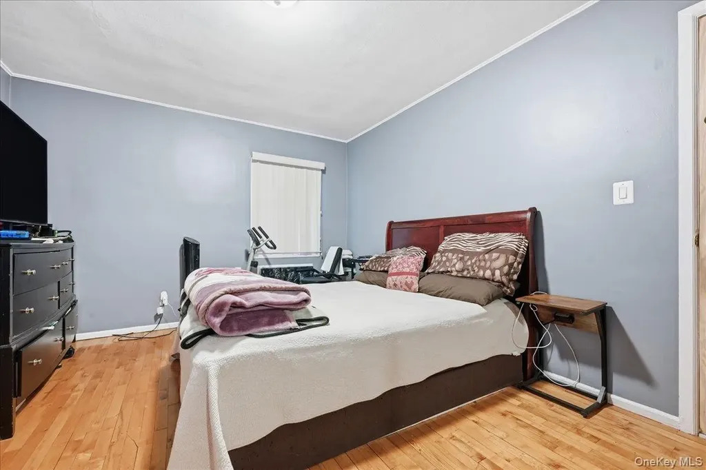 120 Bruce Terrace Mineola NY 11501