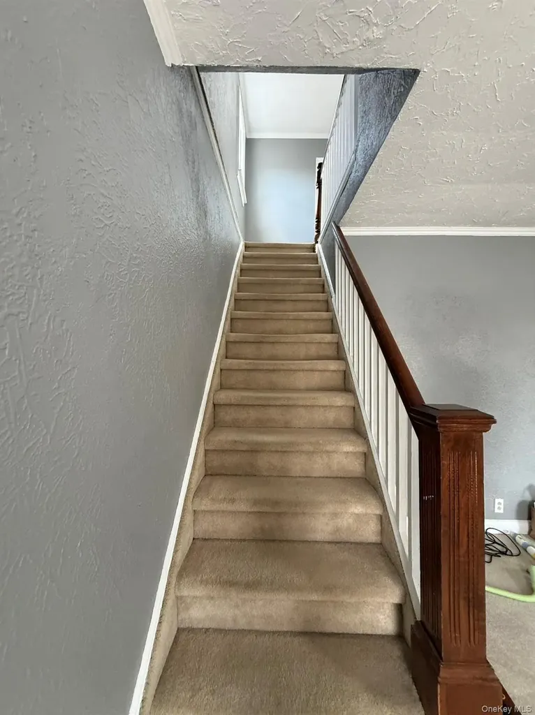 45-46 166th Street Flushing NY 11358