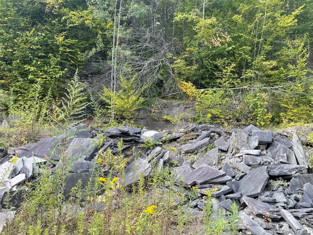 Carcass Brook Spur Hancock NY 13783