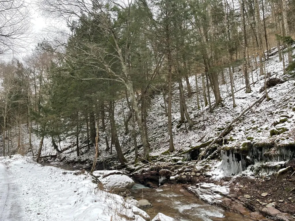 Carcass Brook Spur Hancock NY 13783