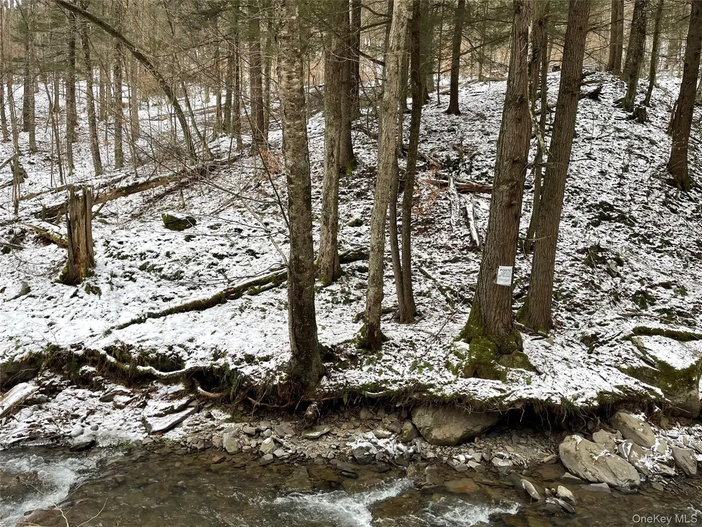 Carcass Brook Spur Hancock NY 13783