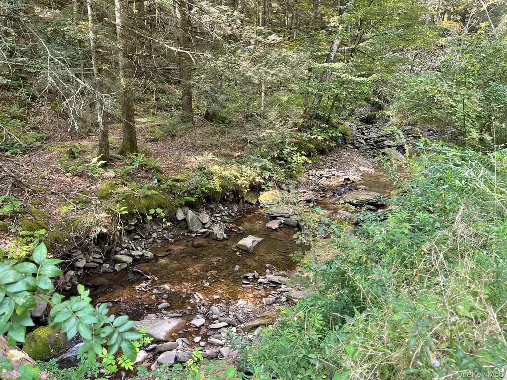 Carcass Brook Spur Hancock NY 13783