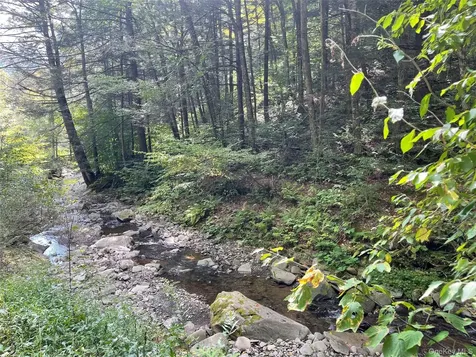 Carcass Brook Spur Hancock NY 13783