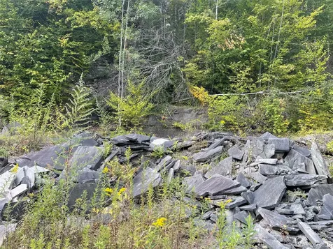 Carcass Brook Spur Hancock NY 13783