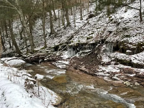 Carcass Brook Spur Hancock NY 13783
