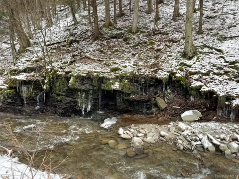 Carcass Brook Spur Hancock NY 13783